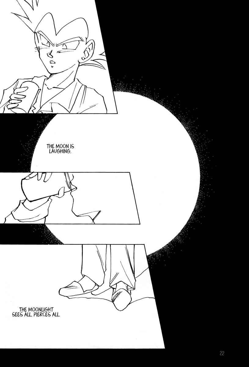Page 22 Chapter Unknown_ccc2 Dragon Ball - Amnesia (Doujinshi)