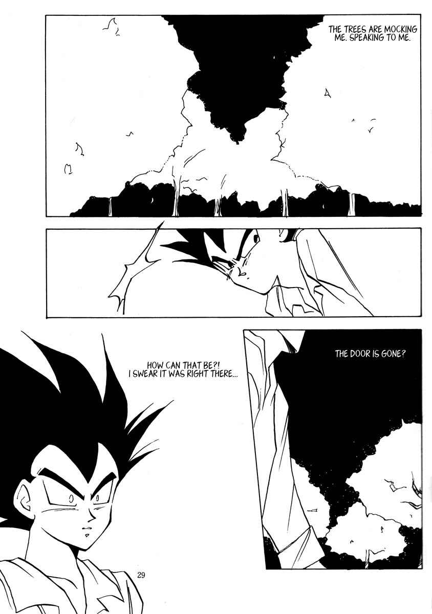 Page 29 Chapter Unknown_ccc2 Dragon Ball - Amnesia (Doujinshi)