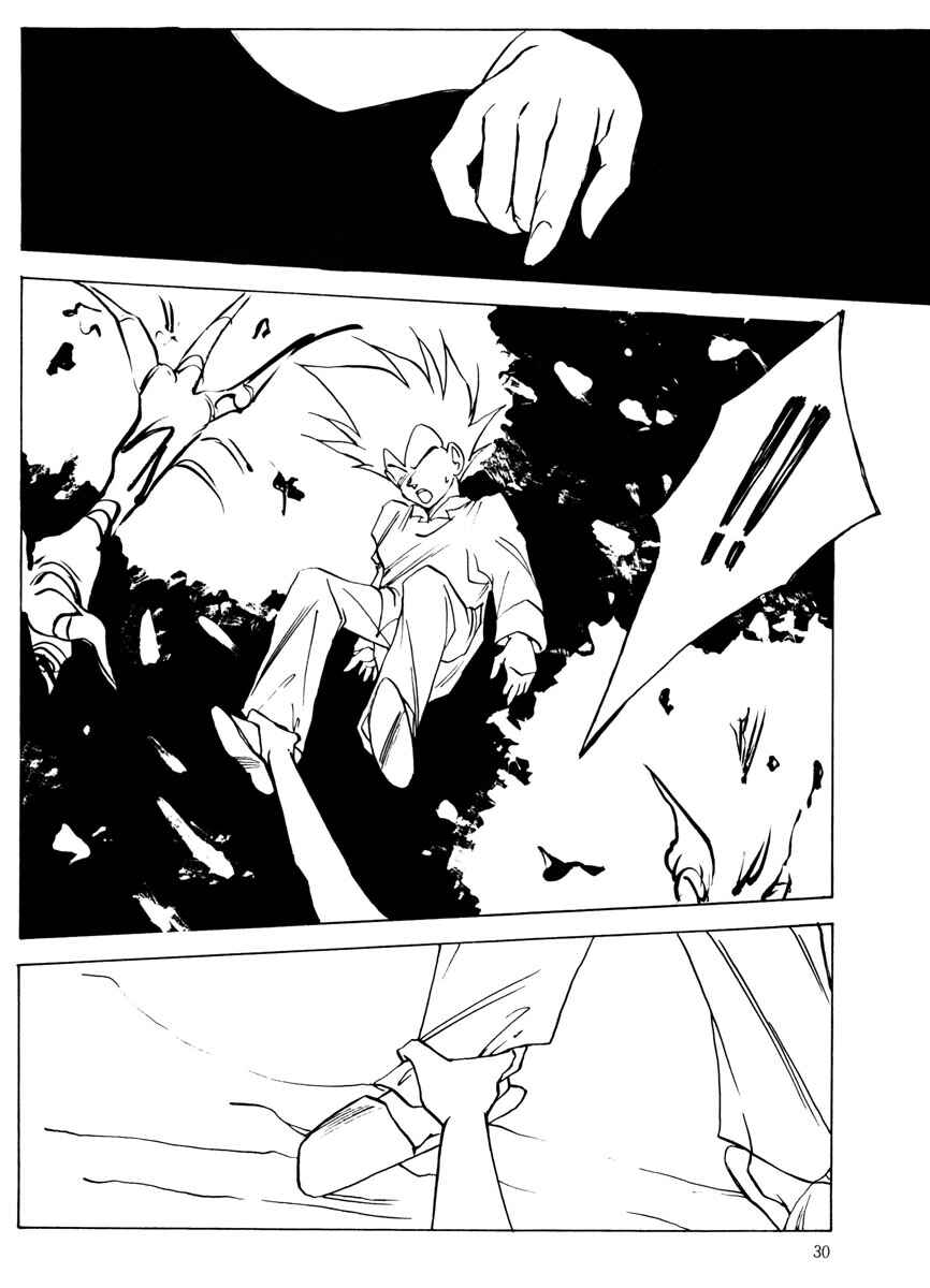 Page 30 Chapter Unknown_ccc2 Dragon Ball - Amnesia (Doujinshi)