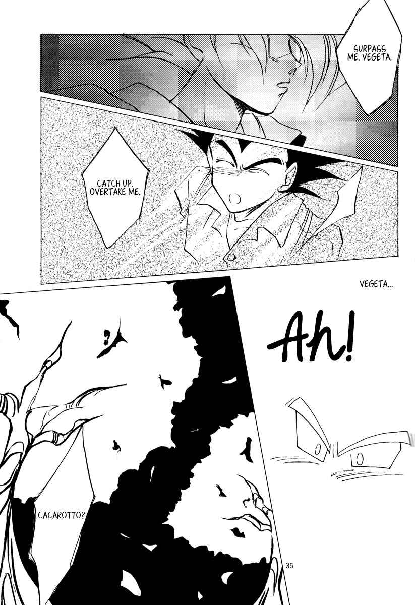 Page 35 Chapter Unknown_ccc2 Dragon Ball - Amnesia (Doujinshi)