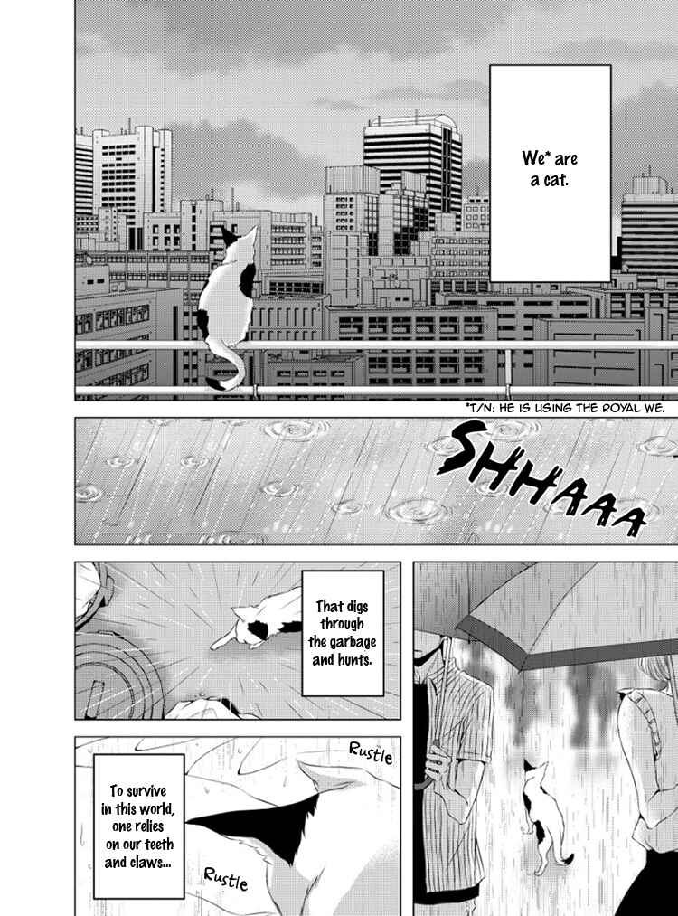 Page 7 Chapter 5 Hana to Junketsu