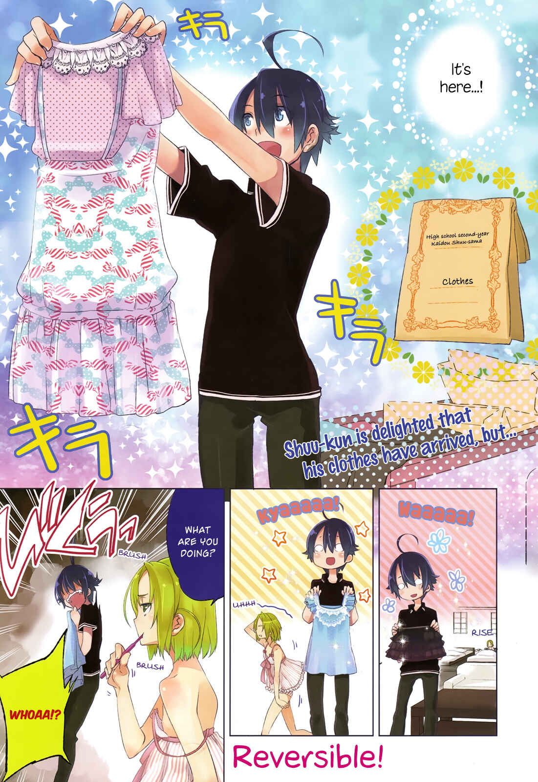 Page 1 Chapter 6 Reversible!
