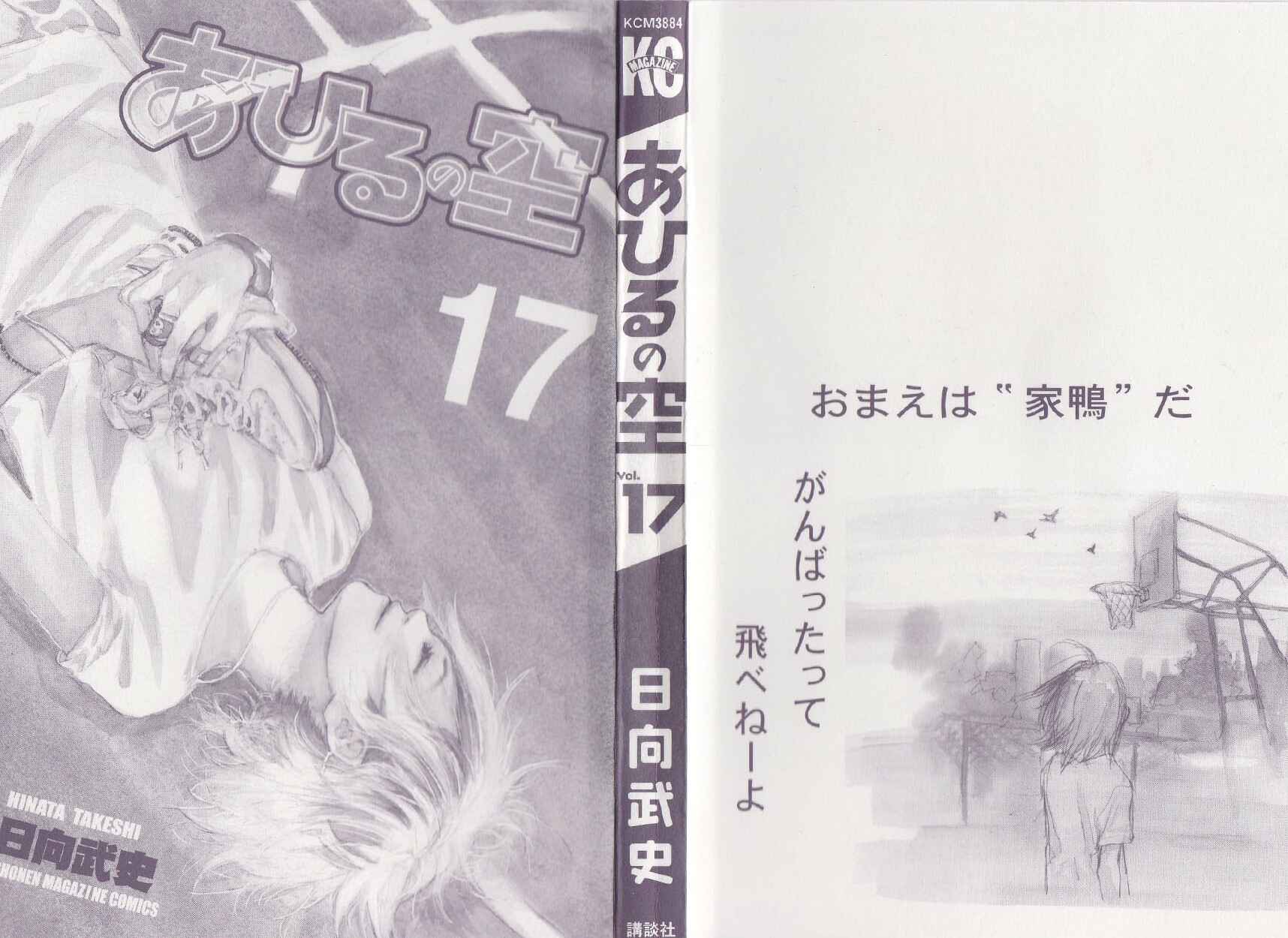 Page 2 Chapter 127.5 Ahiru no Sora
