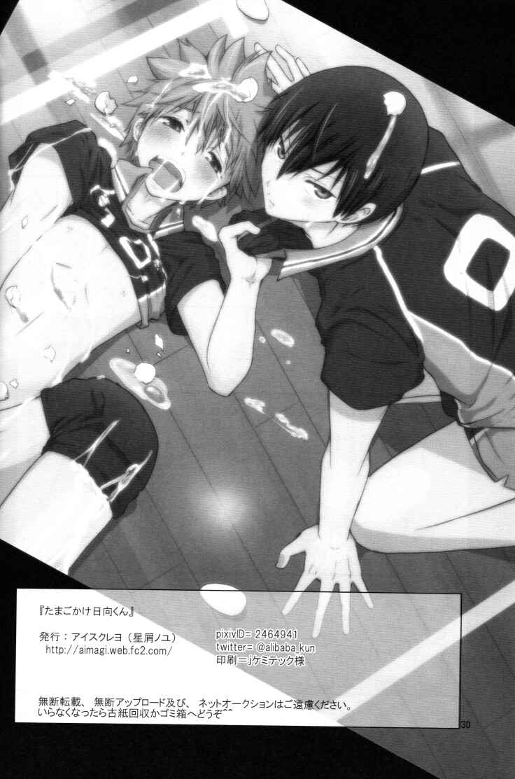 Page 28 Chapter Unknown_e41c Haikyuu!! - Tamagokake Hinatakun (Doujinshi)