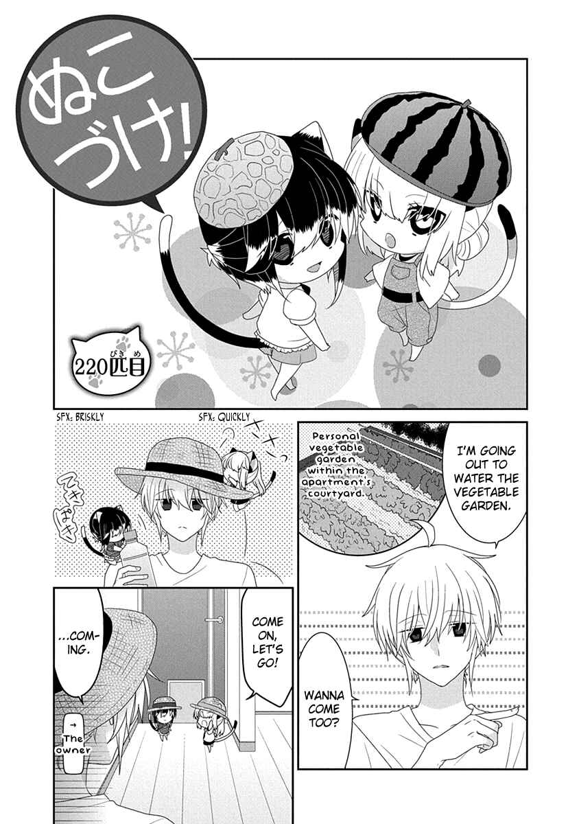 Page 2 Chapter 220 Nukozuke!