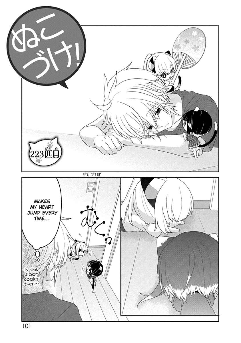 Page 2 Chapter 223 Nukozuke!