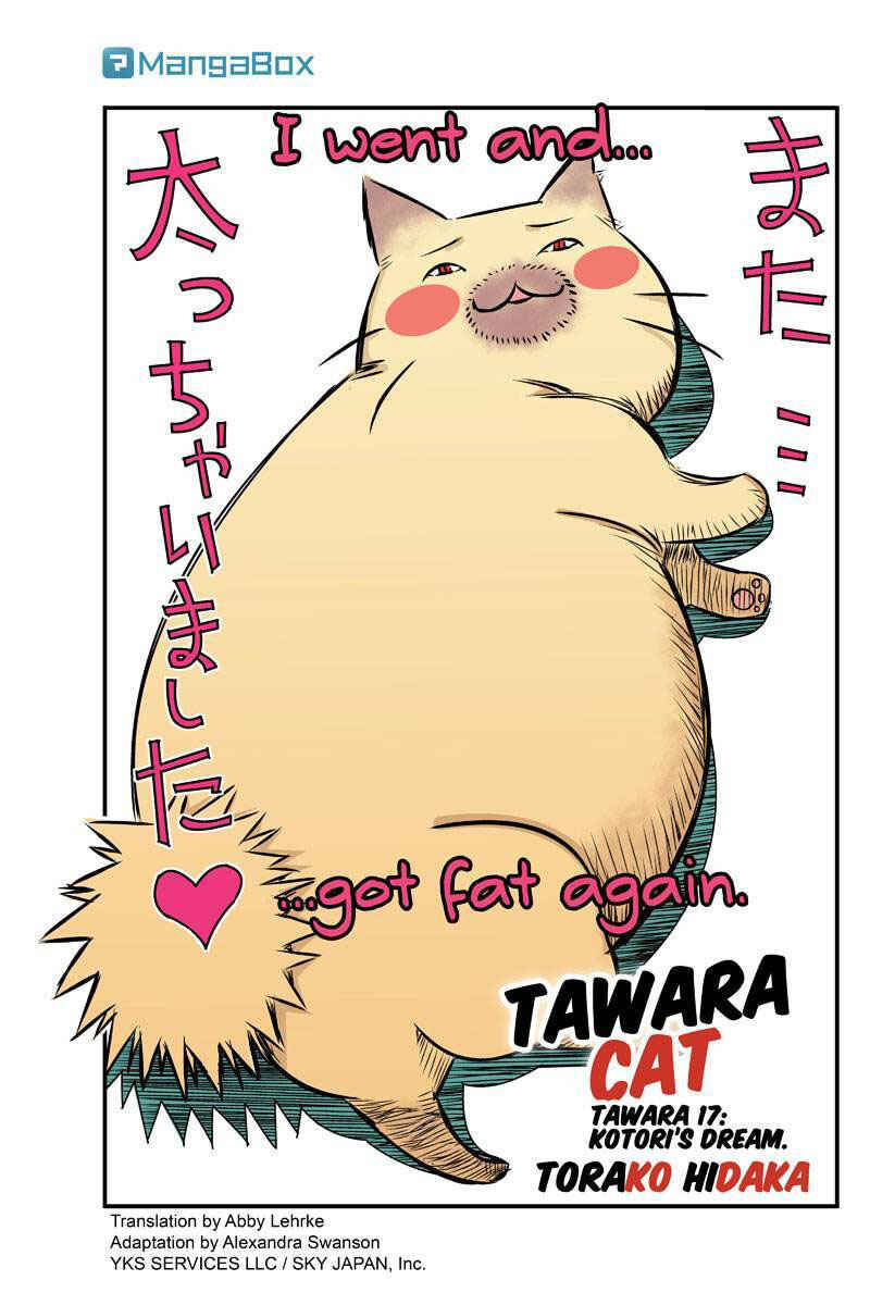 Page 1 Chapter 17 Tawara Neko to Machigai Jinsei