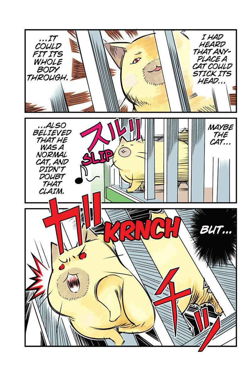 Page 3 Chapter 7 Tawara Neko to Machigai Jinsei