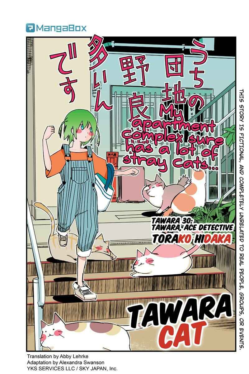 Page 1 Chapter 30 Tawara Neko to Machigai Jinsei