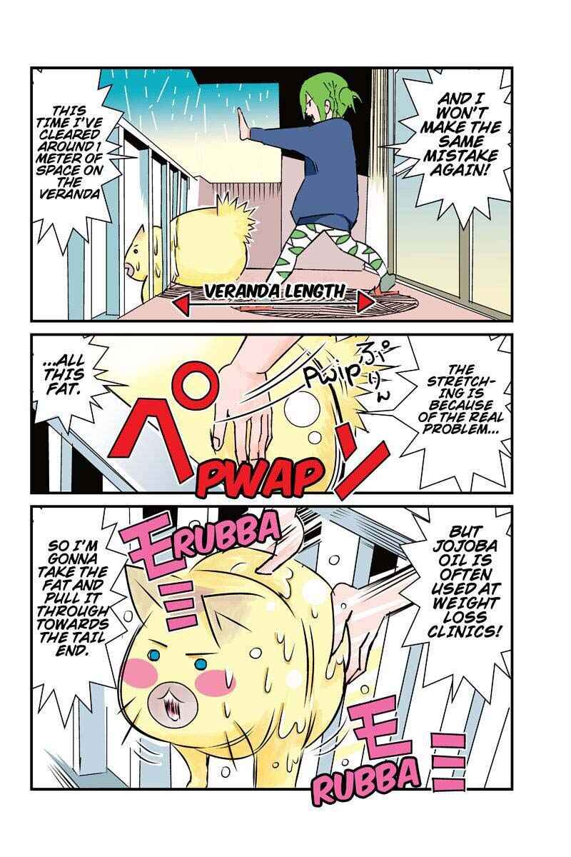 Page 12 Chapter 8 Tawara Neko to Machigai Jinsei