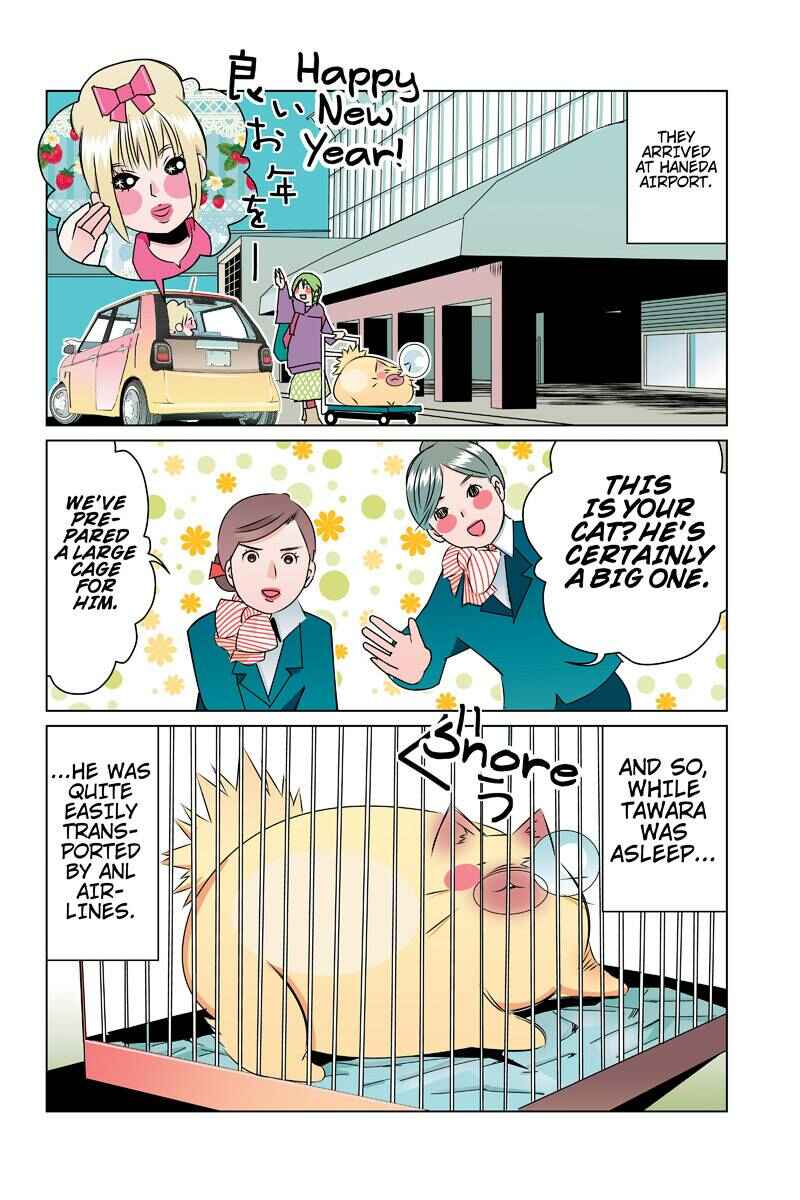 Page 2 Chapter 40 Tawara Neko to Machigai Jinsei