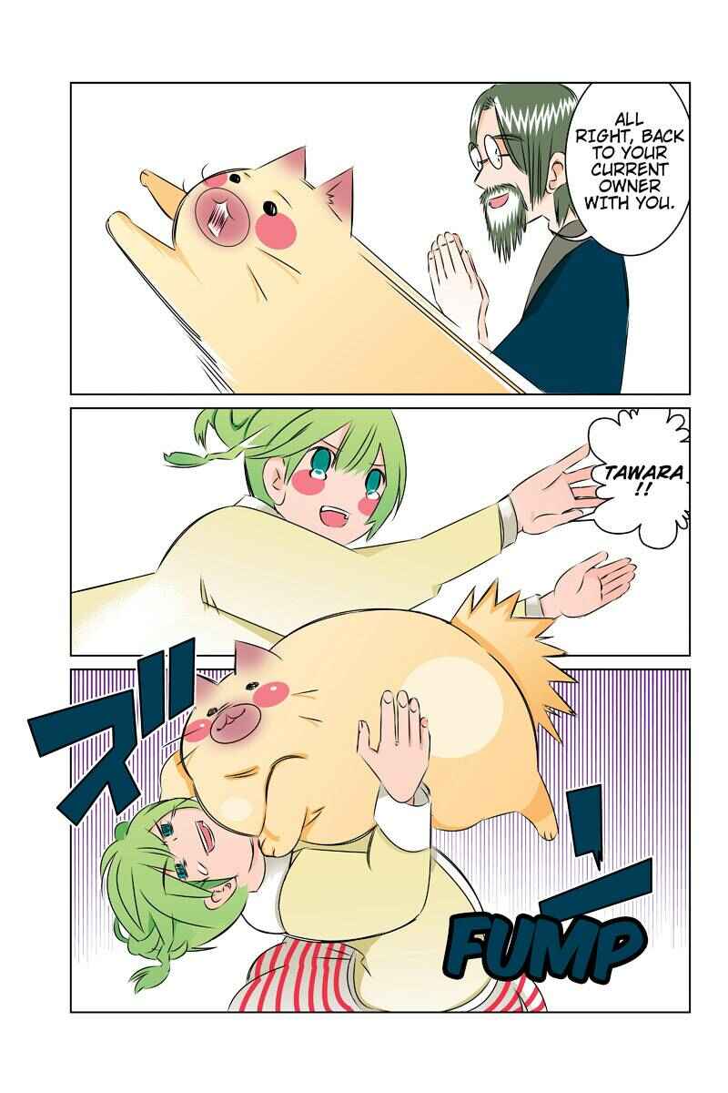 Page 17 Chapter 39 Tawara Neko to Machigai Jinsei