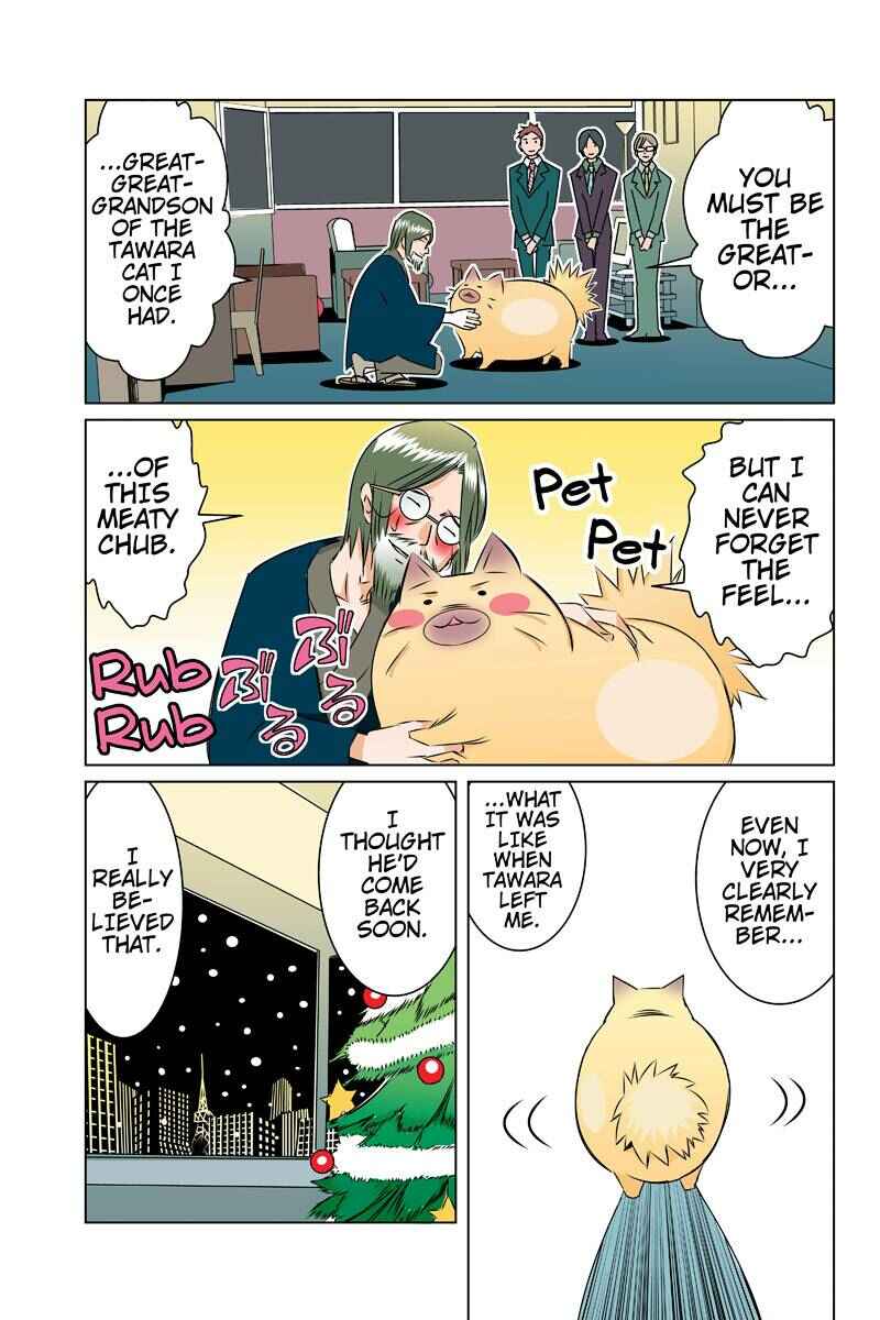 Page 5 Chapter 39 Tawara Neko to Machigai Jinsei