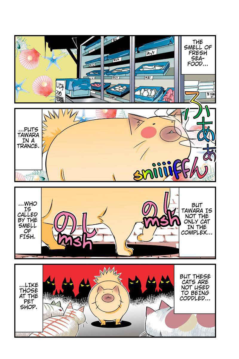Page 10 Chapter 24 Tawara Neko to Machigai Jinsei