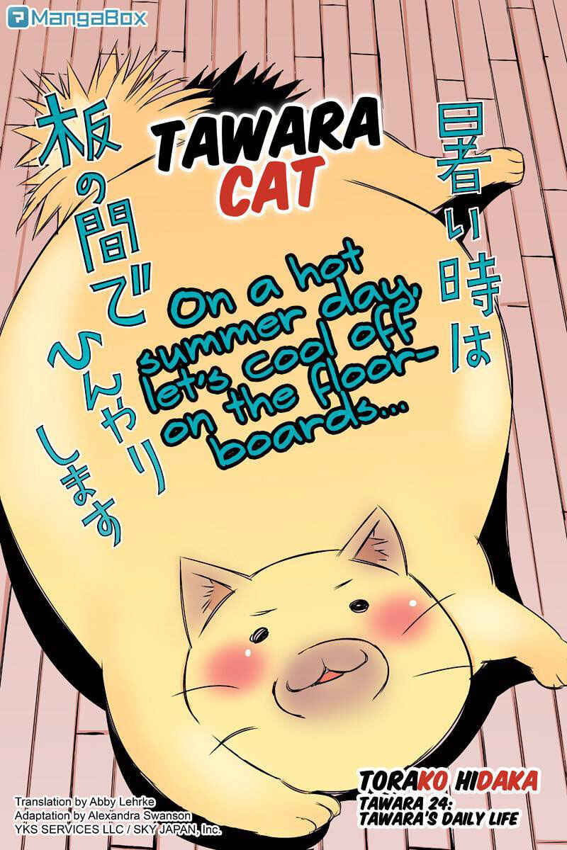 Page 2 Chapter 24 Tawara Neko to Machigai Jinsei
