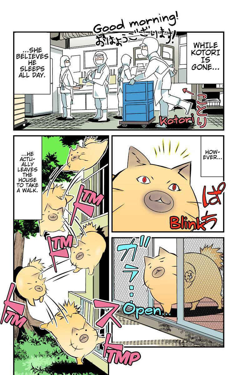 Page 4 Chapter 24 Tawara Neko to Machigai Jinsei