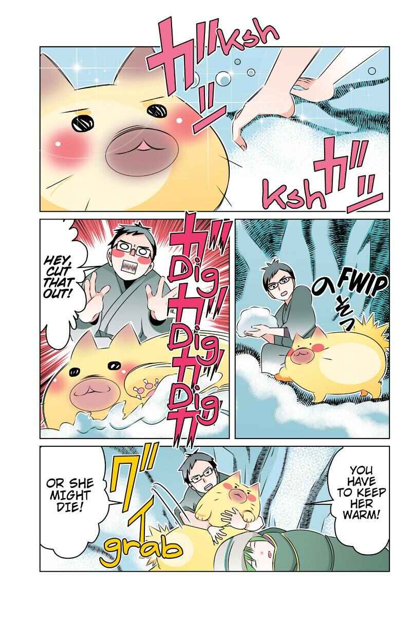Page 9 Chapter 47 Tawara Neko to Machigai Jinsei