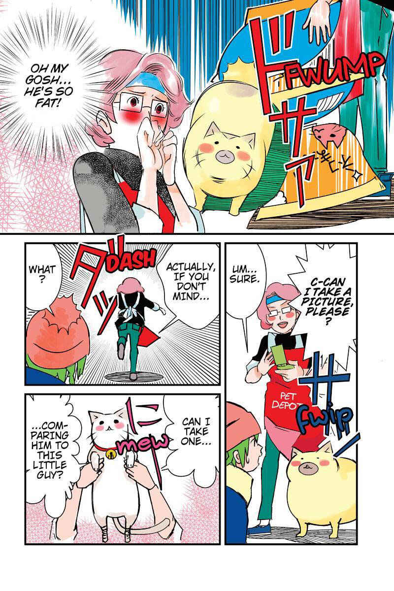 Page 6 Chapter 6 Tawara Neko to Machigai Jinsei