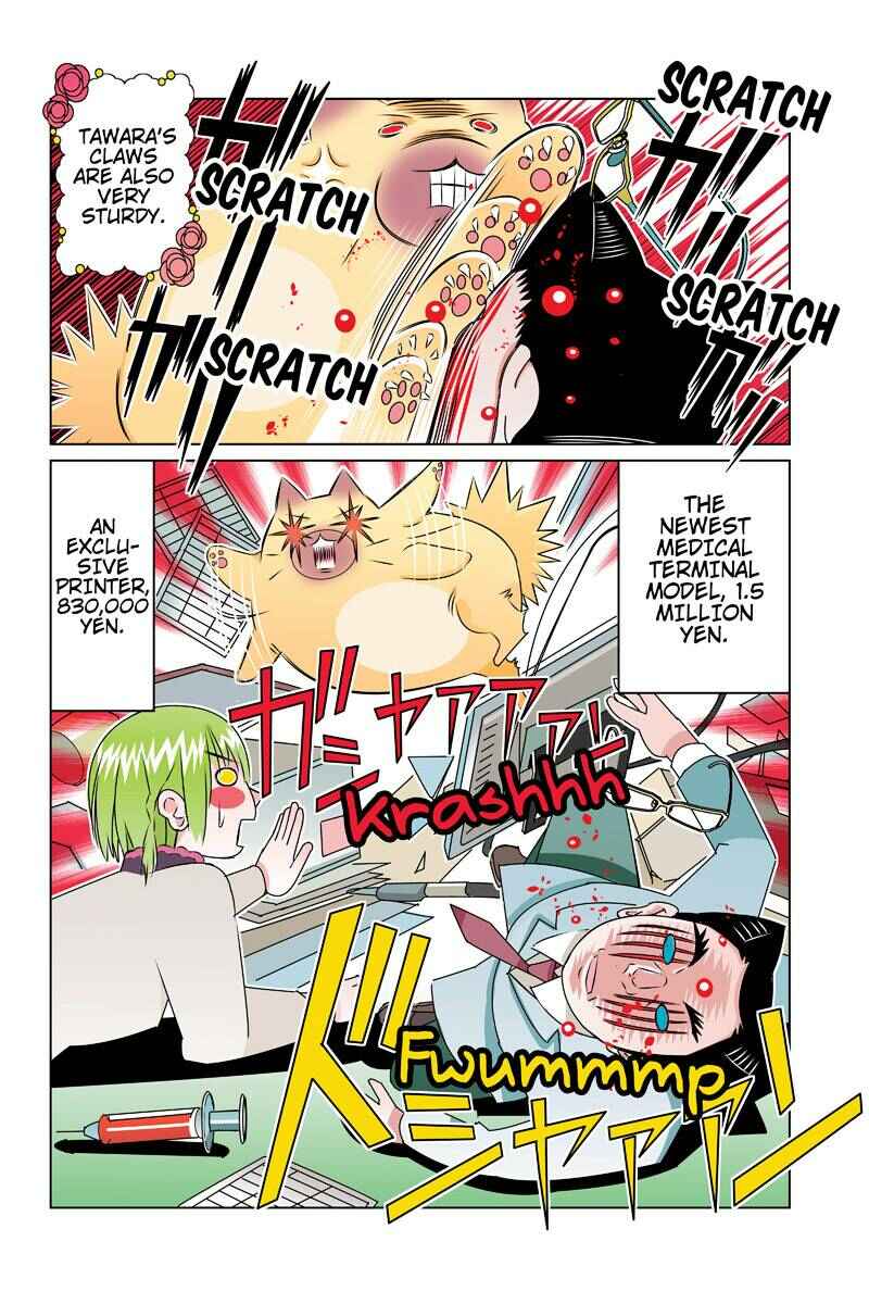 Page 12 Chapter 45 Tawara Neko to Machigai Jinsei