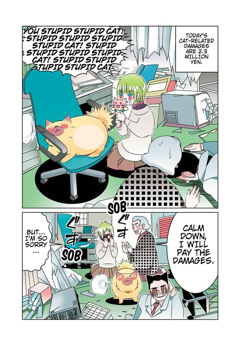 Page 13 Chapter 45 Tawara Neko to Machigai Jinsei