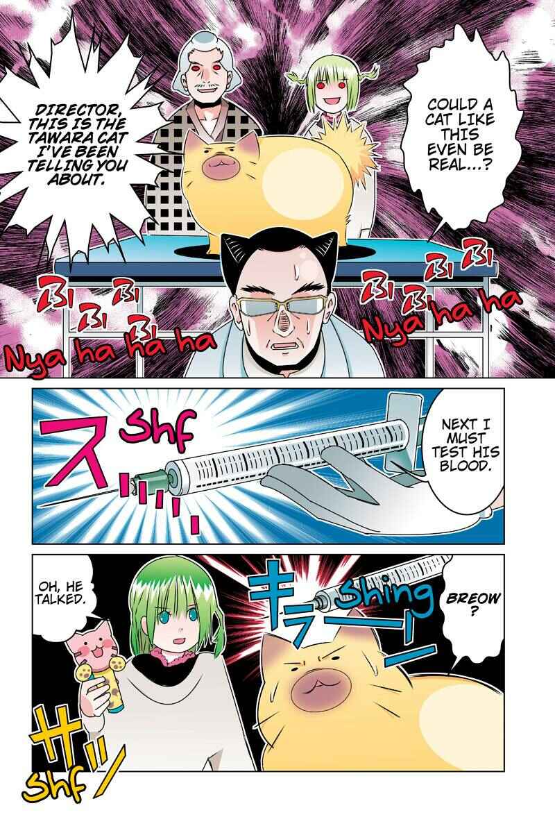 Page 8 Chapter 45 Tawara Neko to Machigai Jinsei