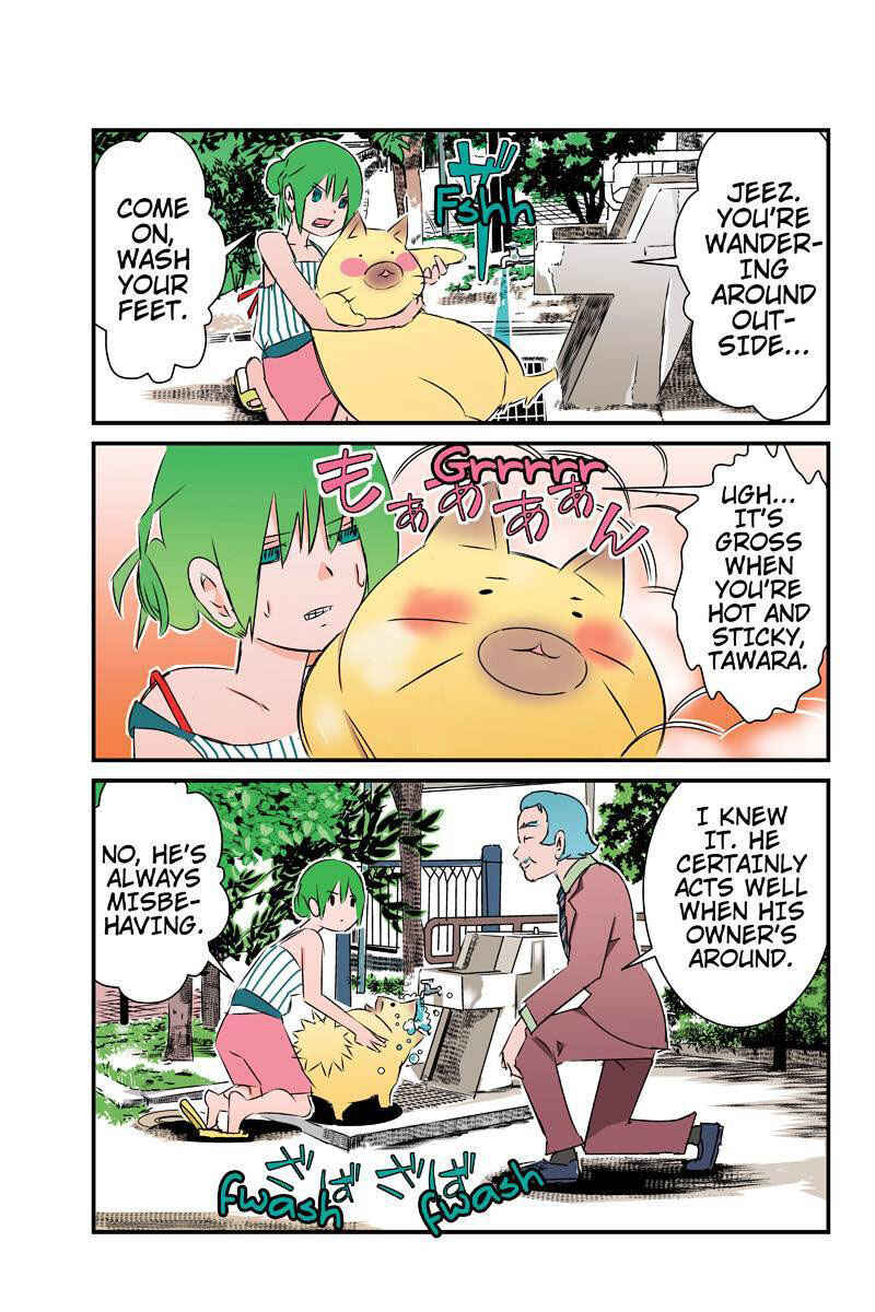 Page 11 Chapter 25 Tawara Neko to Machigai Jinsei