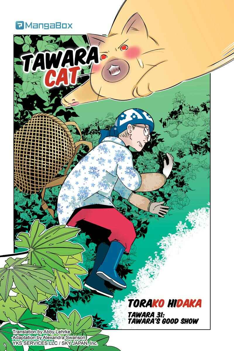 Page 2 Chapter 31 Tawara Neko to Machigai Jinsei