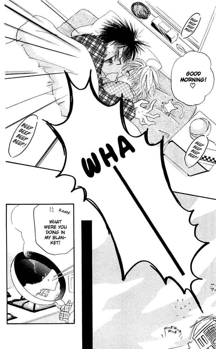 Page 4 Chapter 2 Natural Pearl Pink