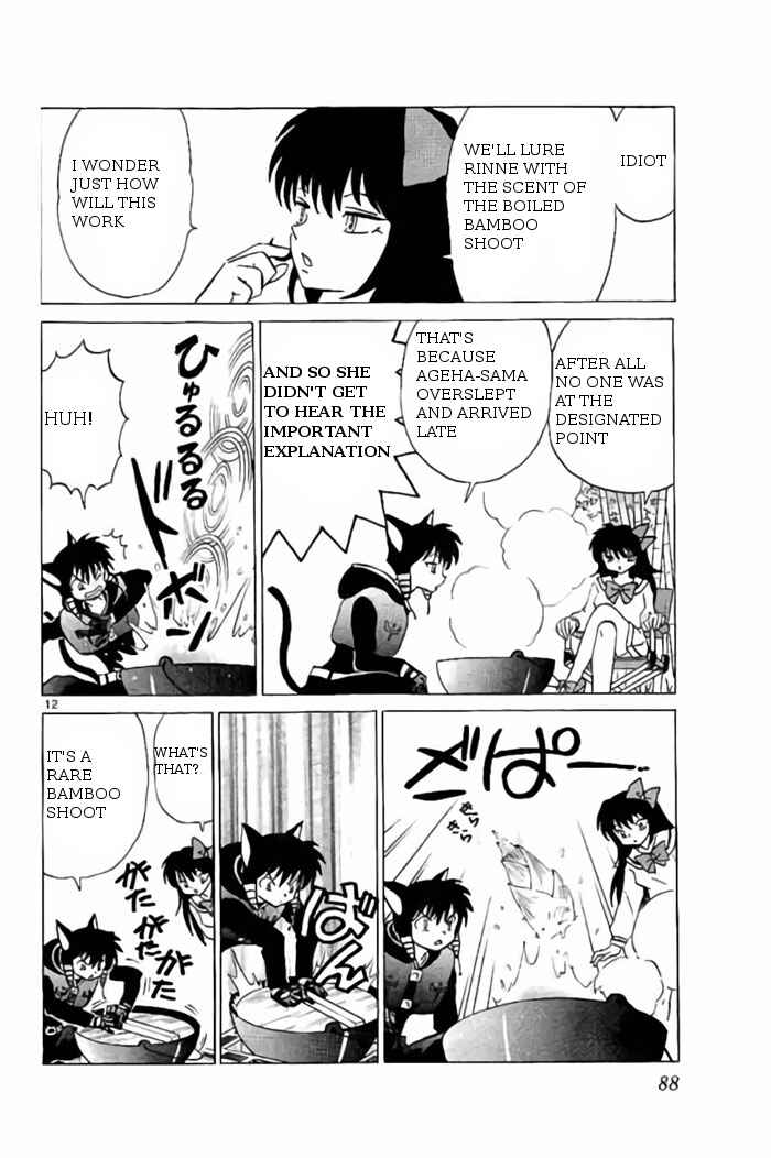 Page 12 Chapter 233 Wheel of Reincarnation Rinne