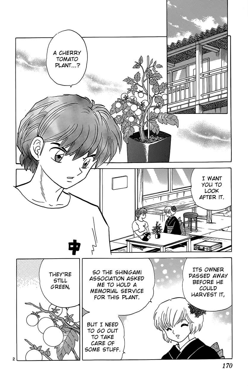 Page 2 Chapter 198 Wheel of Reincarnation Rinne