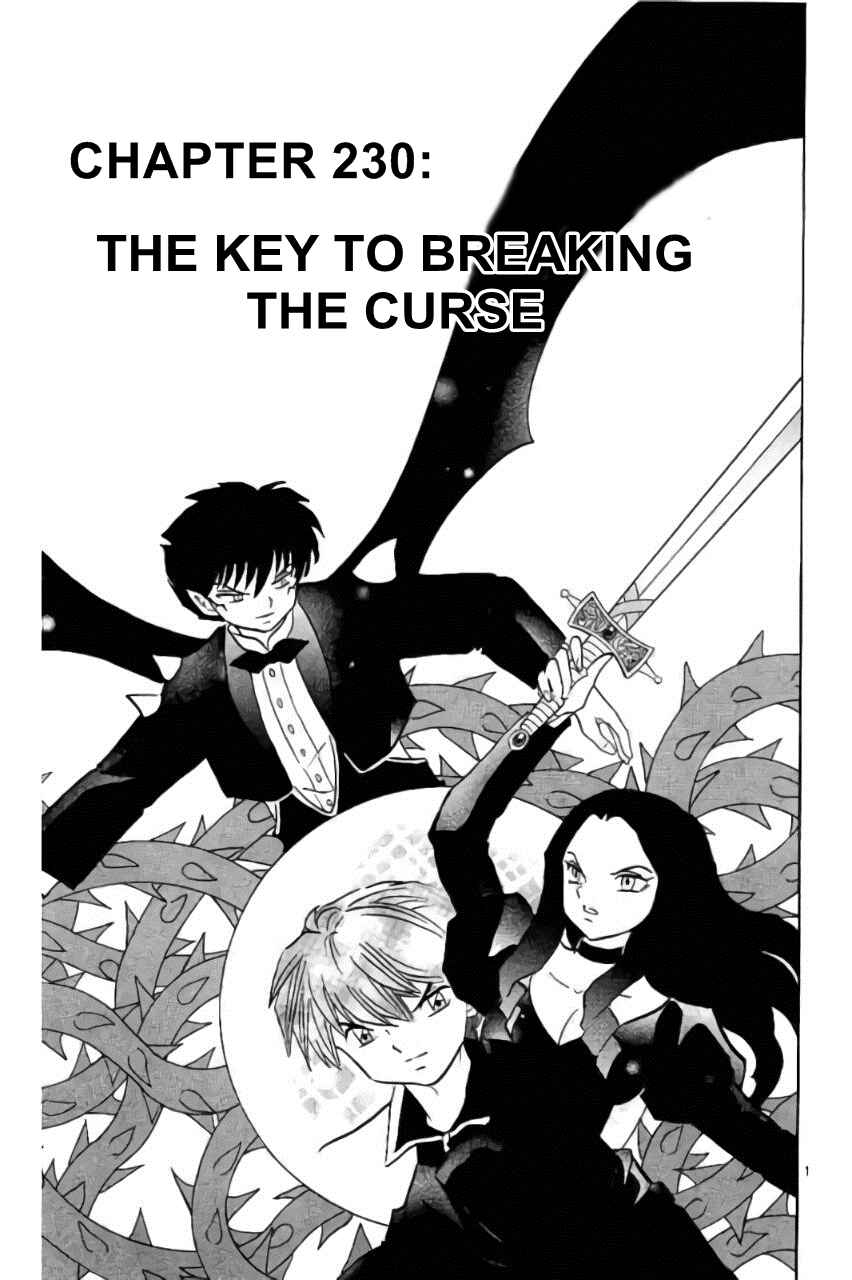Page 1 Chapter 230 Wheel of Reincarnation Rinne