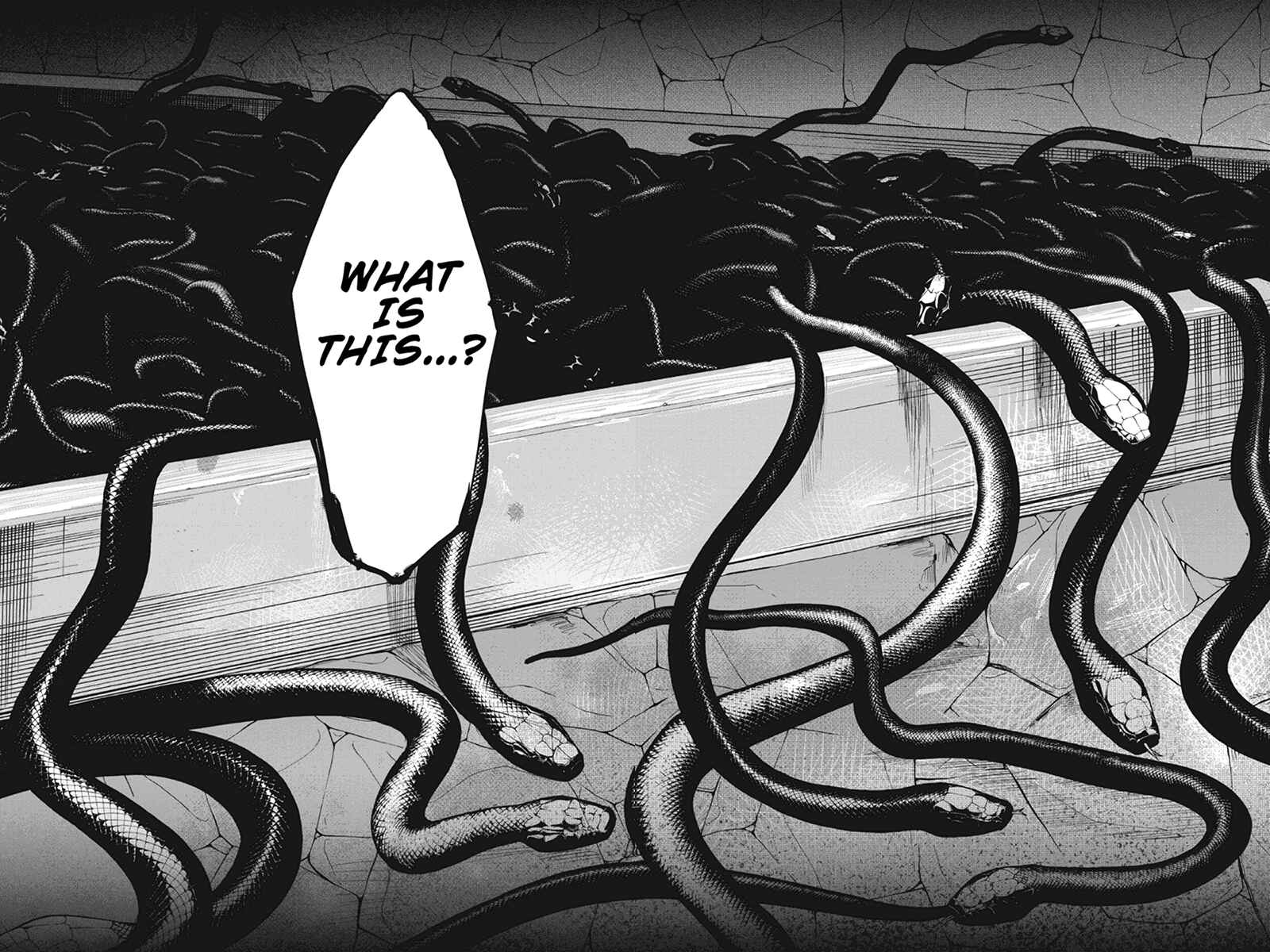 Page 16 Chapter 7 Zero - Kage Miko