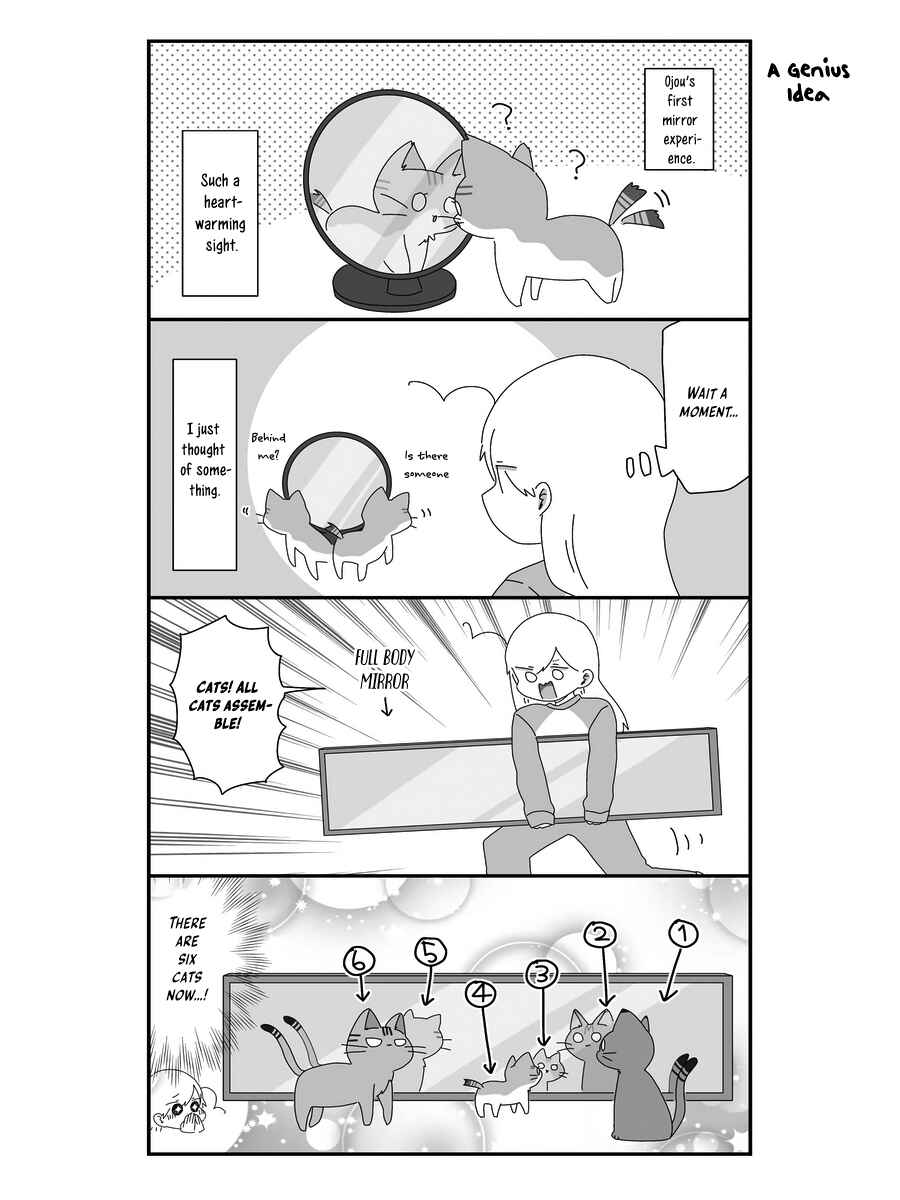 Page 17 Chapter 7 Sekai wo Teki ni Mawashitemo Neko wo Aishiteru