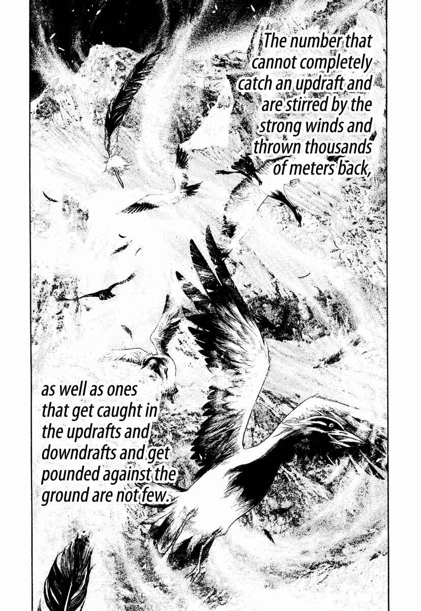 Page 13 Chapter 168 Kokou no Hito
