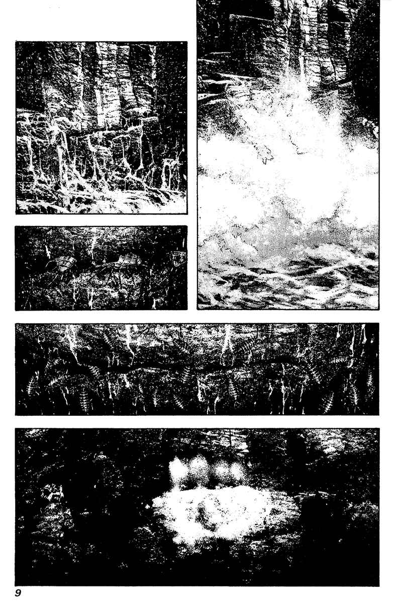 Page 12 Chapter 103 Kokou no Hito