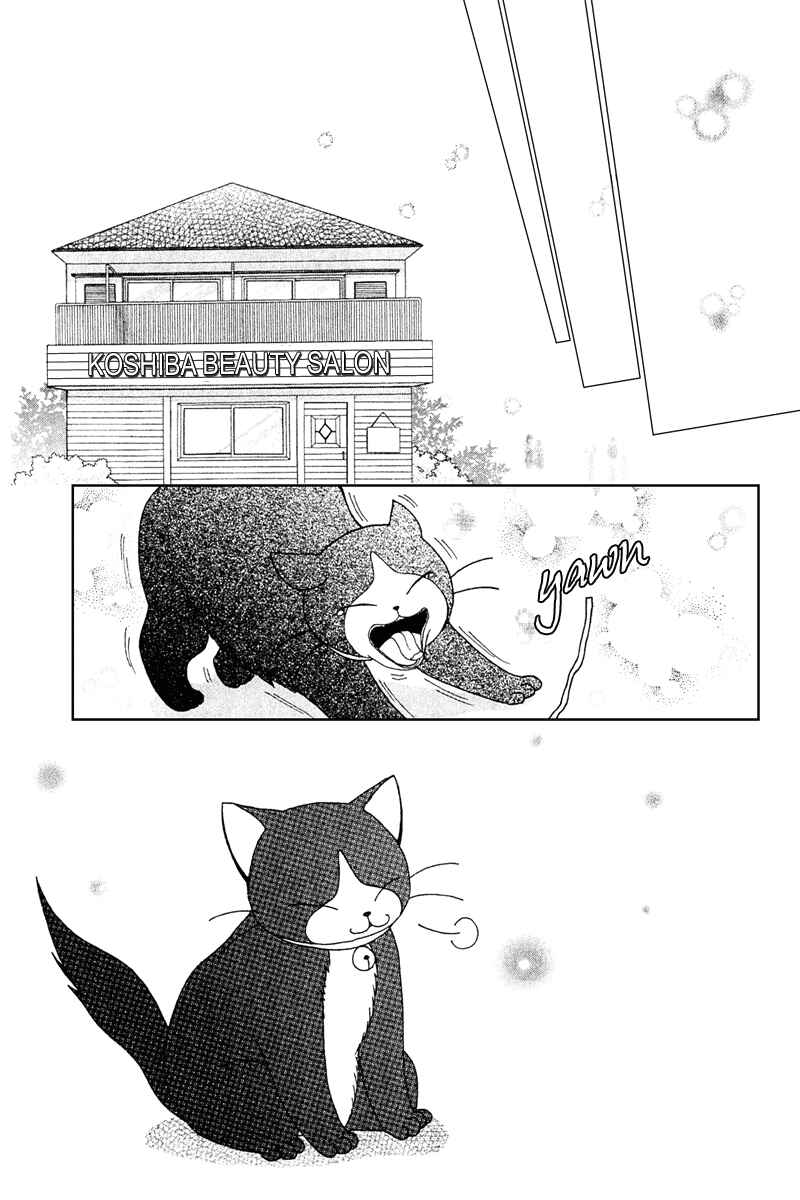 Page 2 Chapter 11 Beauty Pop