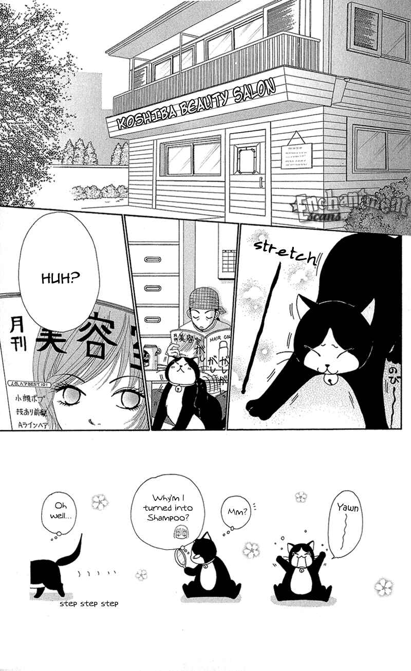 Page 9 Chapter 36 Beauty Pop
