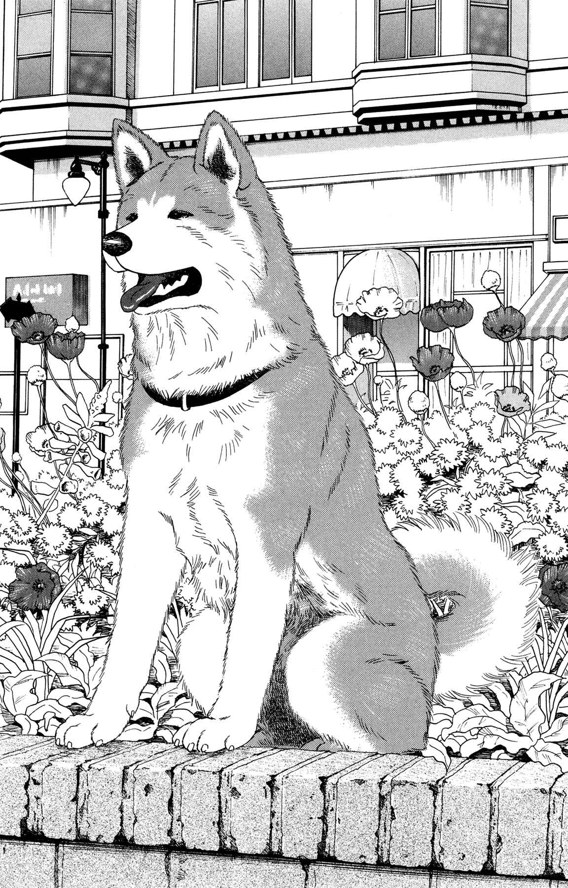 Page 29 Chapter 2 Hachi: A Dogs Tale