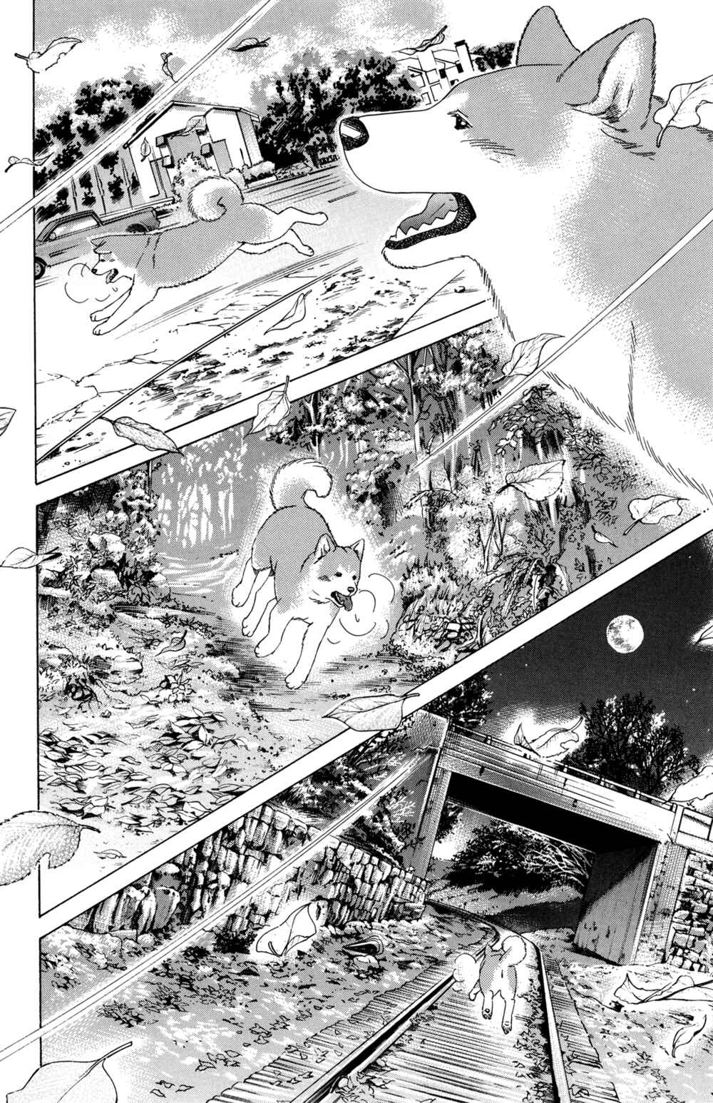 Page 16 Chapter 5 Hachi: A Dogs Tale