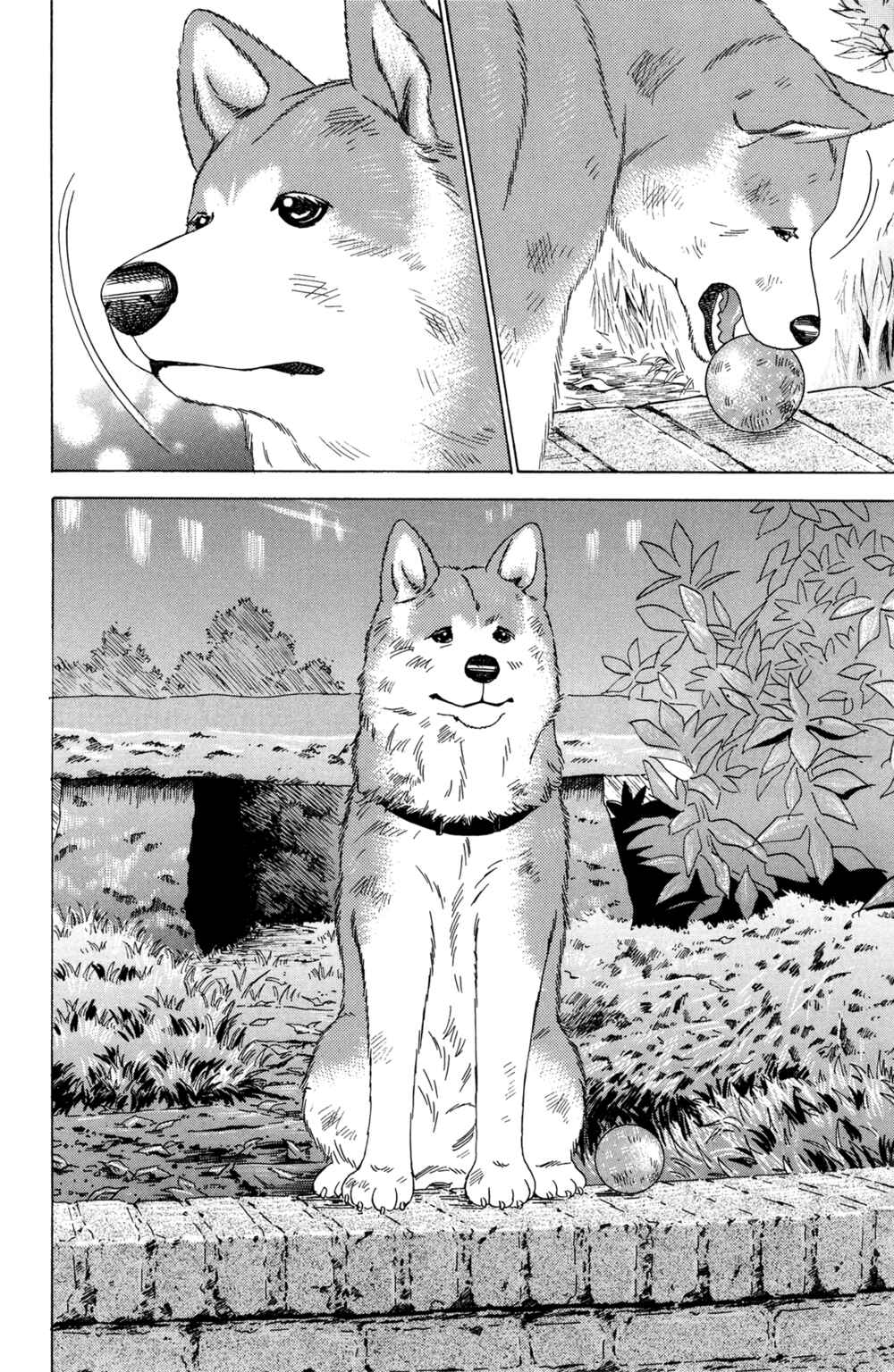 Page 20 Chapter 5 Hachi: A Dogs Tale