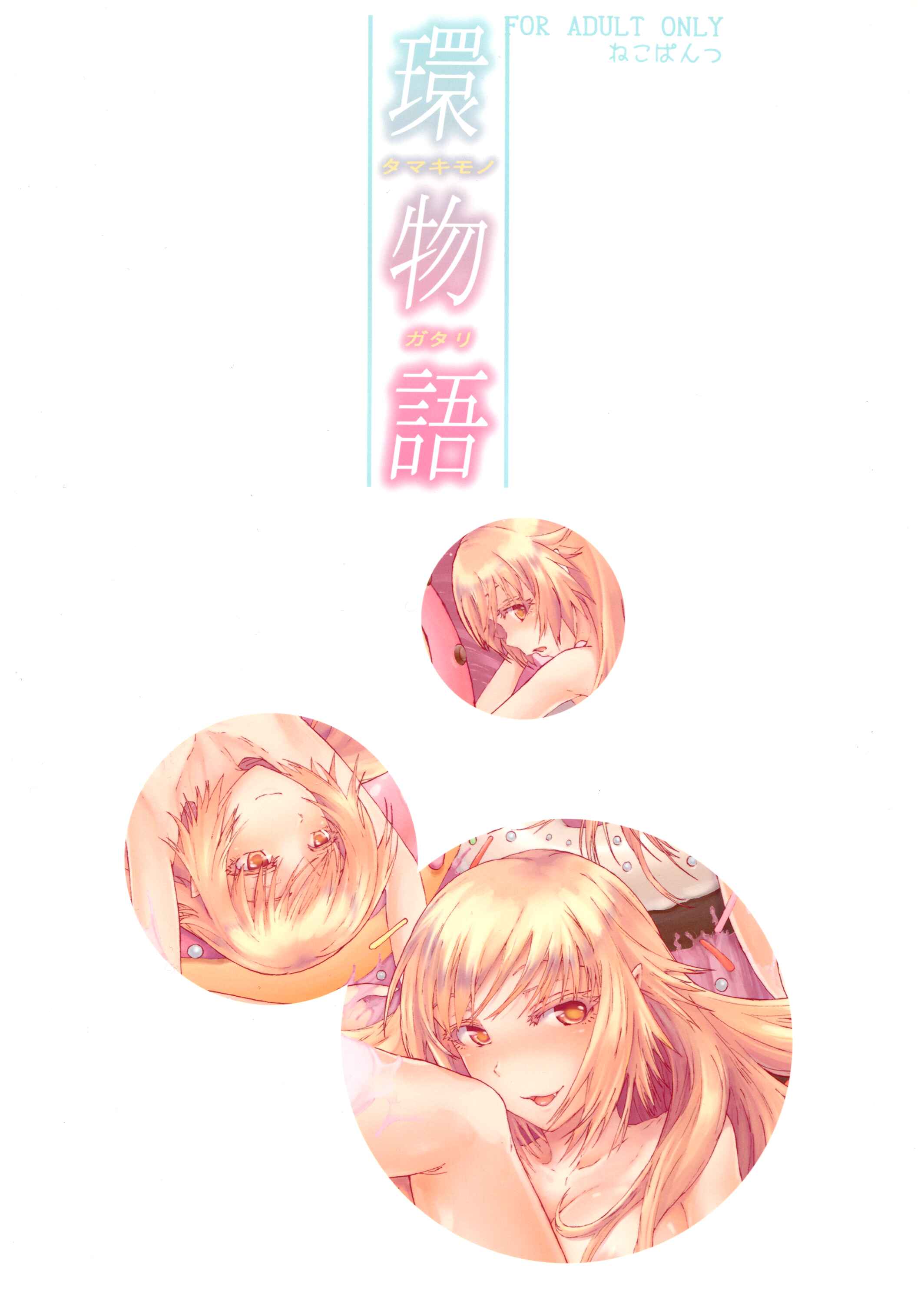 Page 1 Chapter Unknown_c371 Bakemonogatari - Tamakimonogatari (Doujinshi)