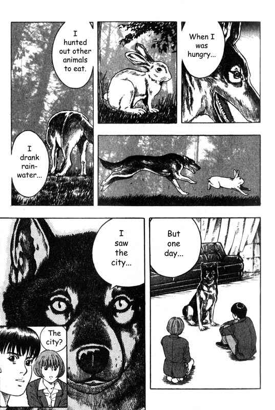 Page 33 Chapter 3 Inugami