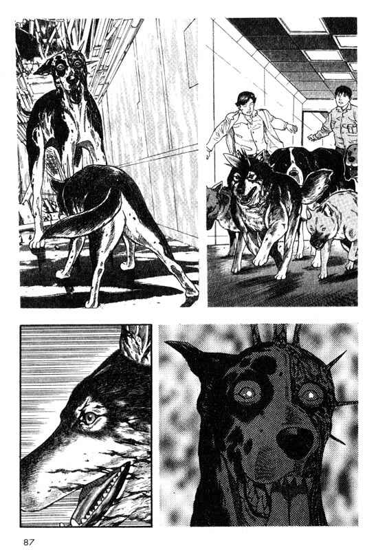 Page 6 Chapter 17 Inugami