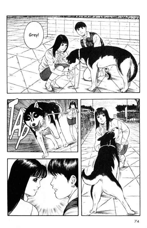 Page 31 Chapter 11 Inugami