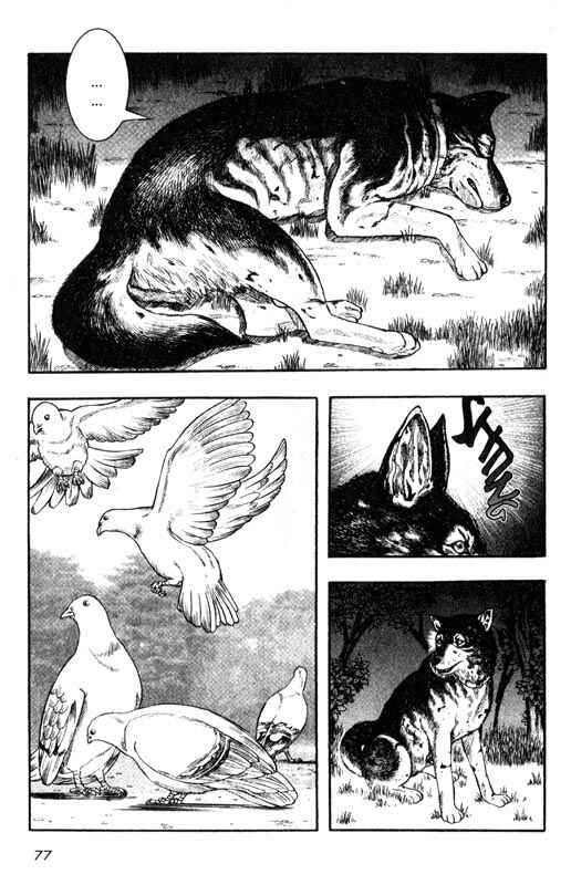 Page 34 Chapter 11 Inugami