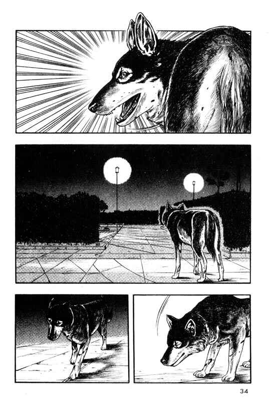 Page 35 Chapter 10 Inugami