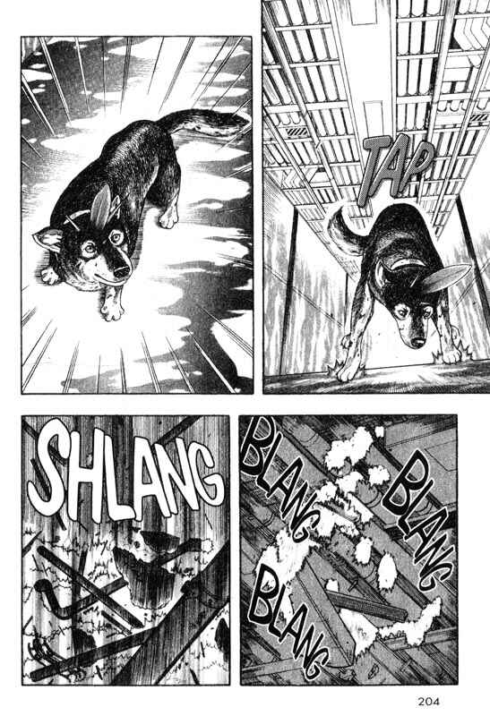 Page 37 Chapter 14 Inugami