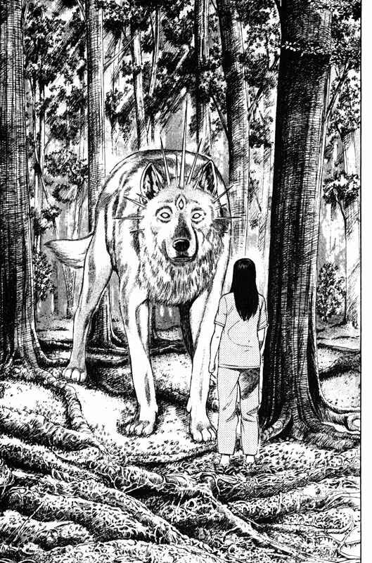 Page 13 Chapter 41 Inugami