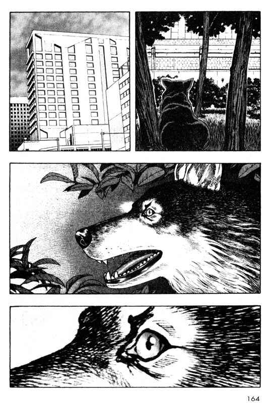 Page 32 Chapter 28 Inugami