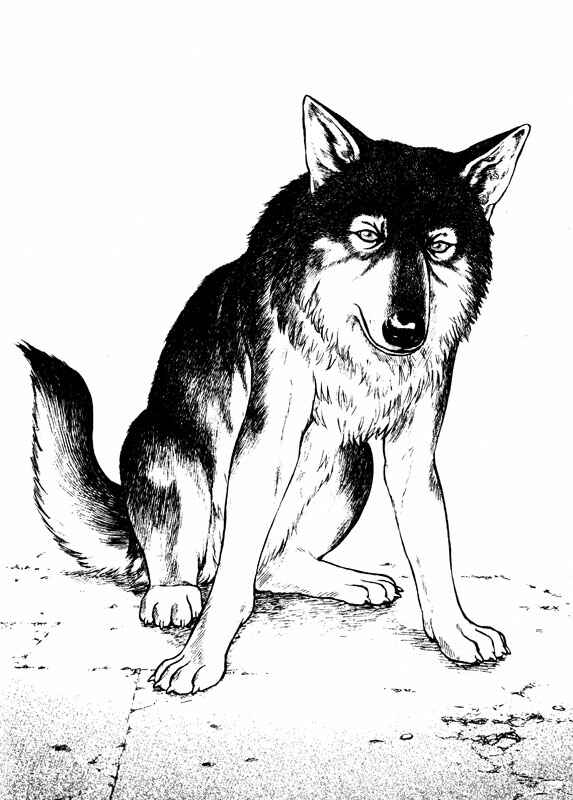 Page 18 Chapter 71 Inugami